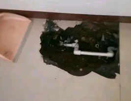 淇滨卫生间测漏水多少钱